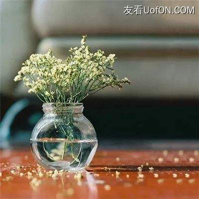 黑袍剑神手游